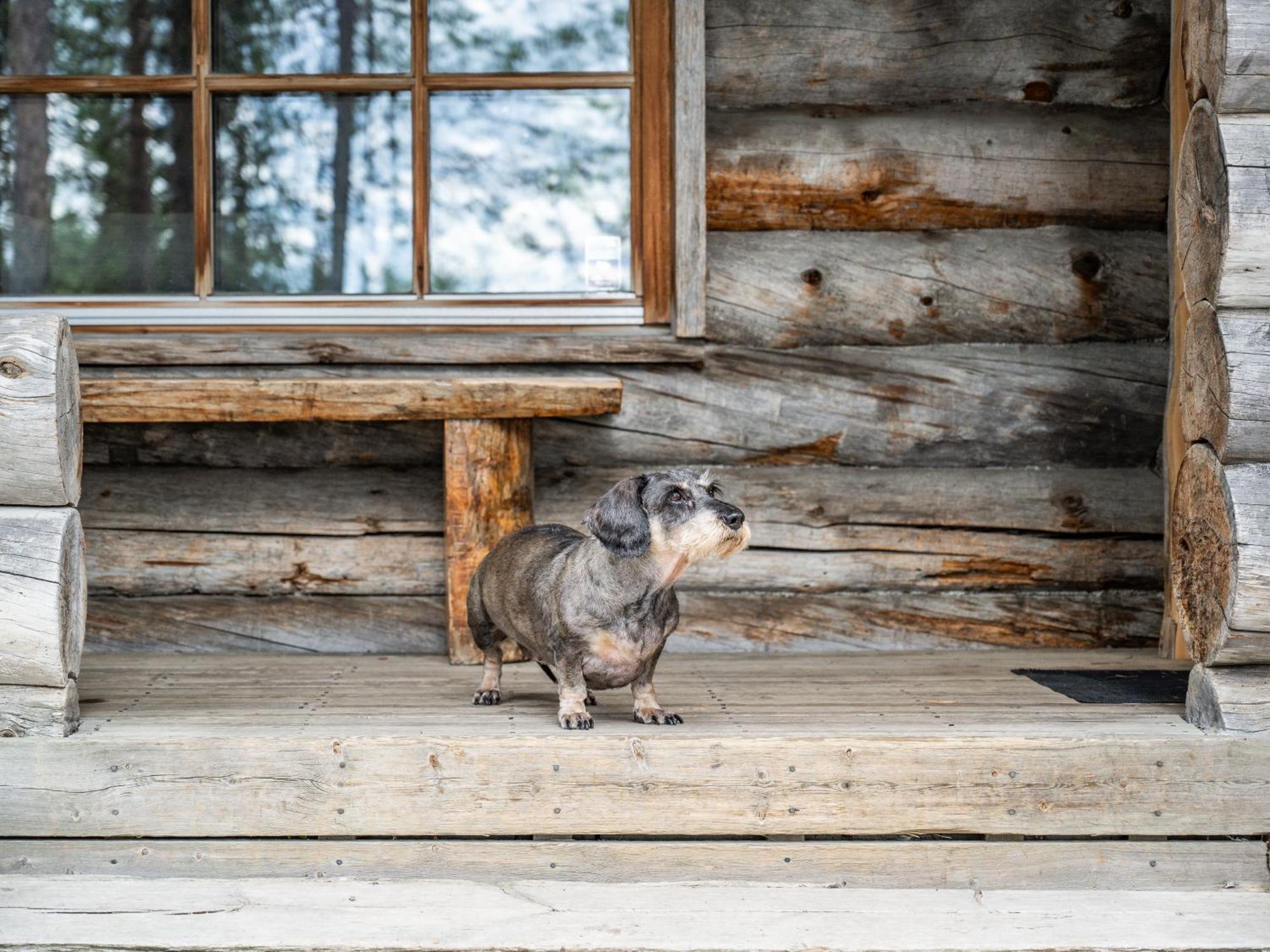 Rukankelo Chalet Ruka